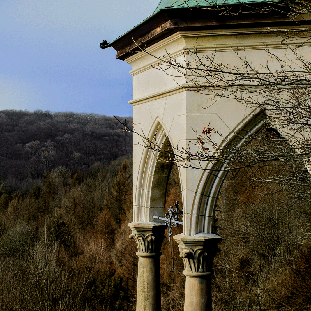 Remscheid Diederichstempel Wald